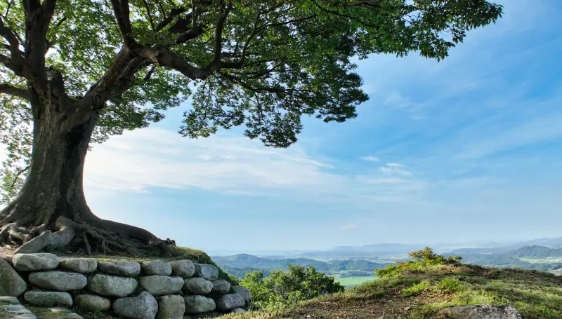 부모님과 떠나는 부여 효도 여행 코스