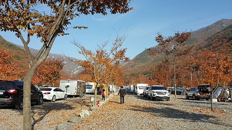 경남 밀양표충오토캠핑장 소개