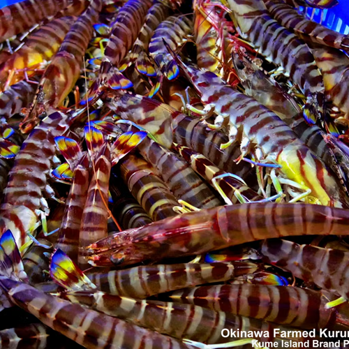 보리새우의 효능과 요리법&amp;#44; 부작용 알아보기