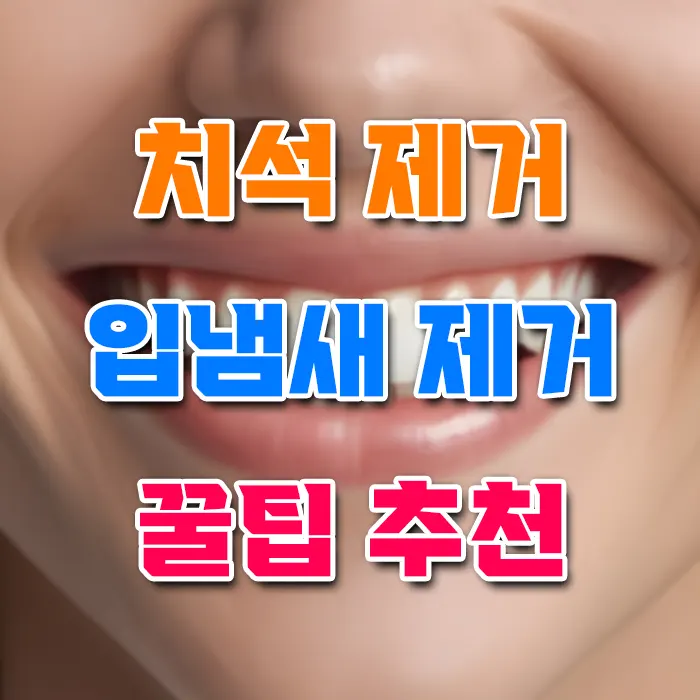 치석 제거 입냄새 제거 꿀팁 7가지 추천