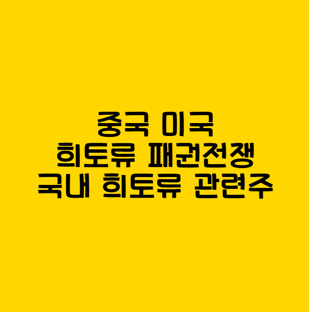중국 희토류