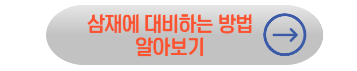 2025년 무료 신년 운세보기, 삼재띠 알아보기, 이사방향