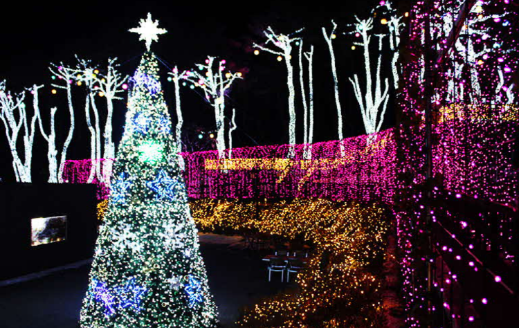 단양 수양개빛터널