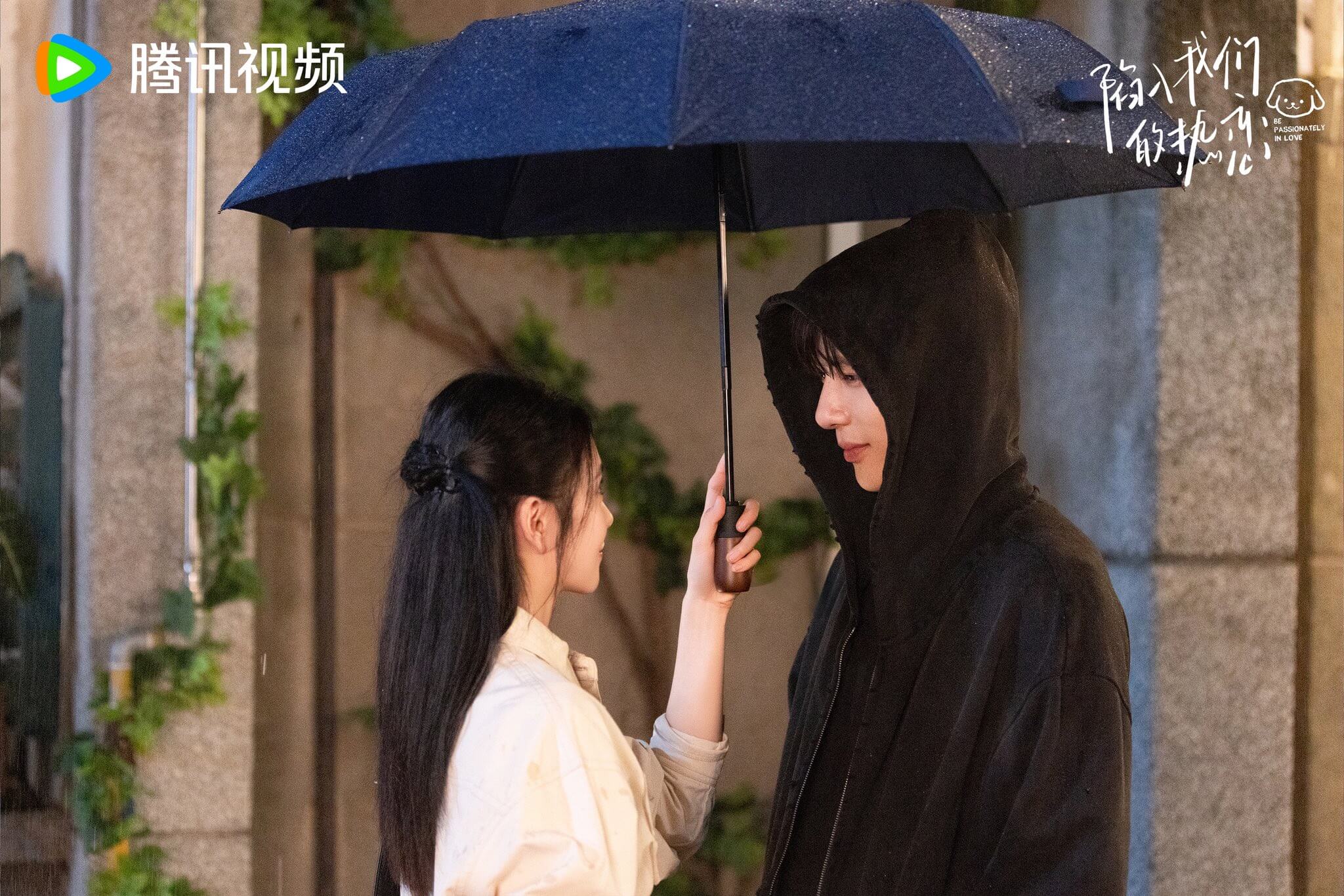 함입아문적열연(그 여름의 열애)