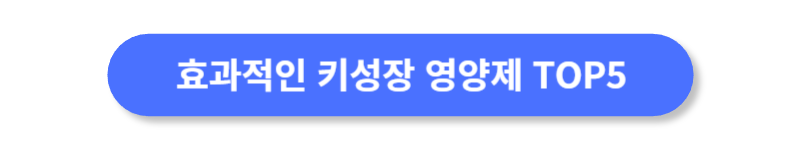 버튼