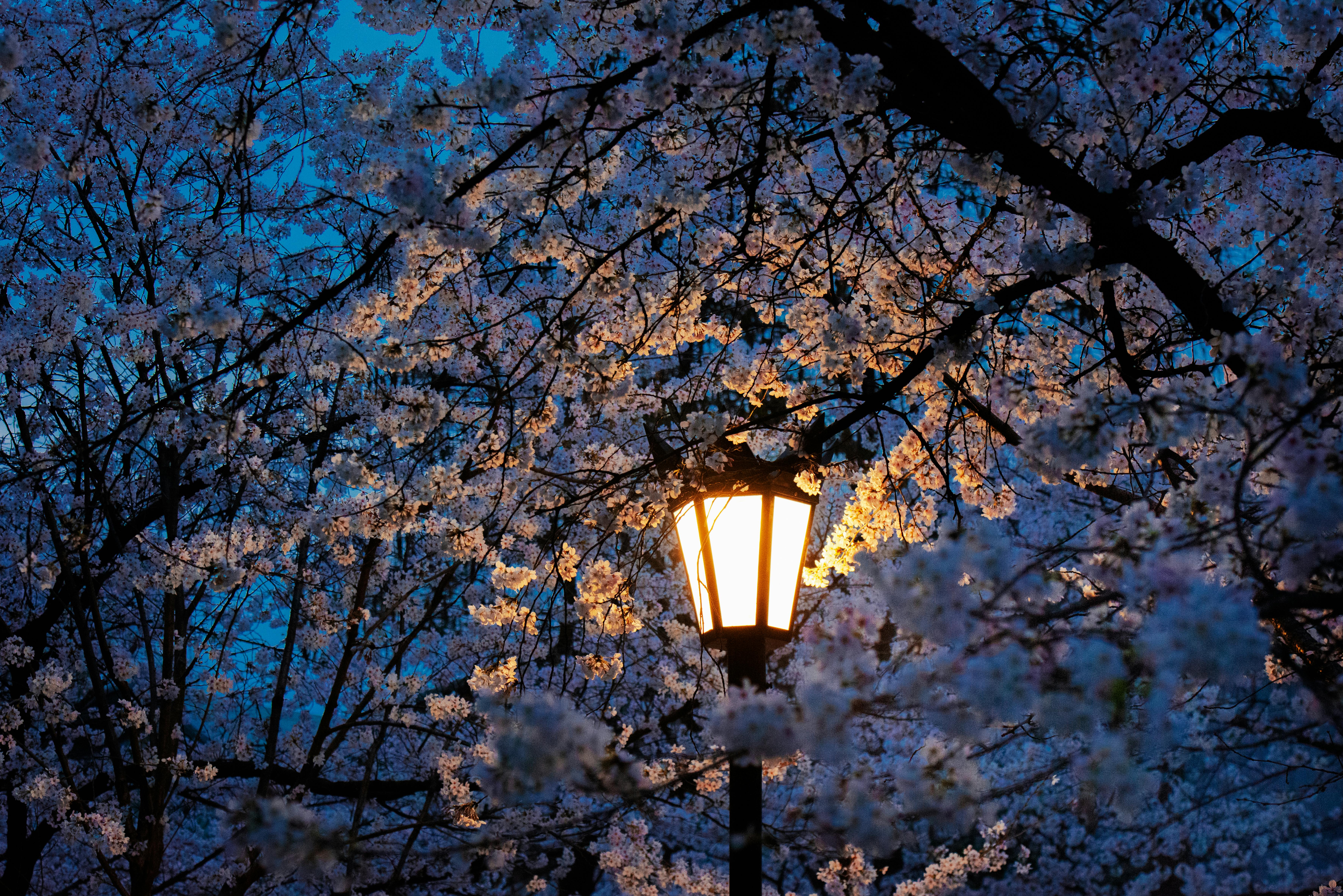 봄에 읽기 좋은 에세이 TOP5, 비교, 추천, 감성