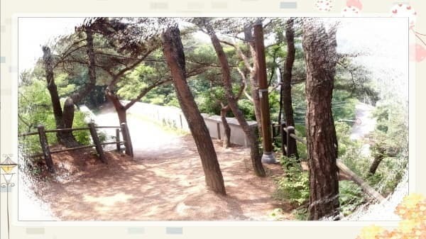 북악스카이웨이 산책로 완벽 가이드: 초보자도 쉽게 따라하는 코스