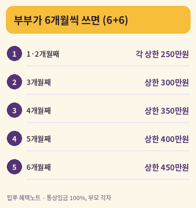 육아휴직 급여 6+6 부모육아휴직제