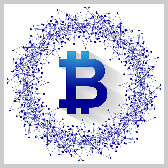 업비트 도지코인 시세 전망 최고가