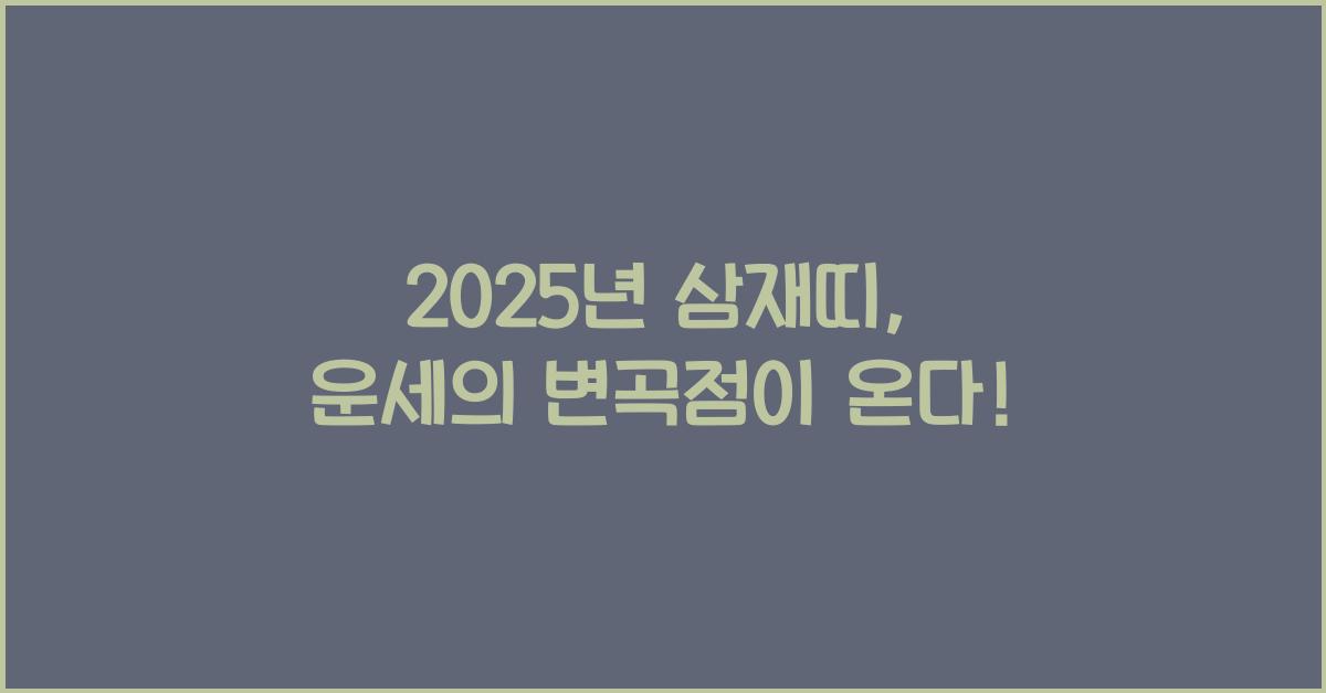 2025년 삼재띠