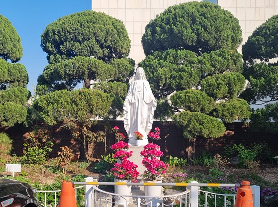 서울대교구 신당동성당 성모상