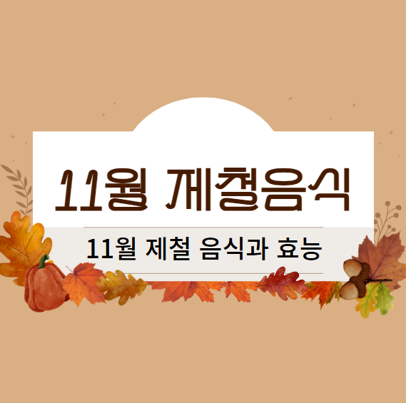 11월 제철 음식과 효능 Top 9!