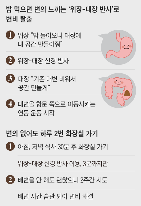 아침 배변 습관 만드는 방법