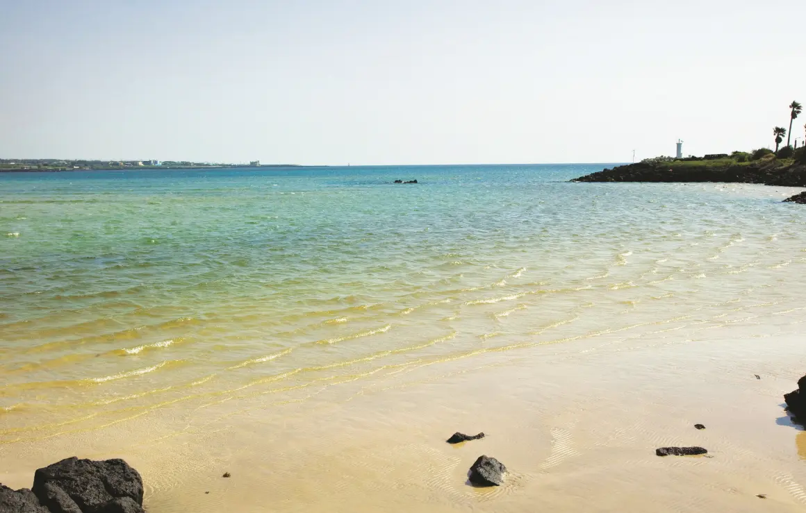 표선해수욕장 (출처: 제주관광공사 홈페이지)