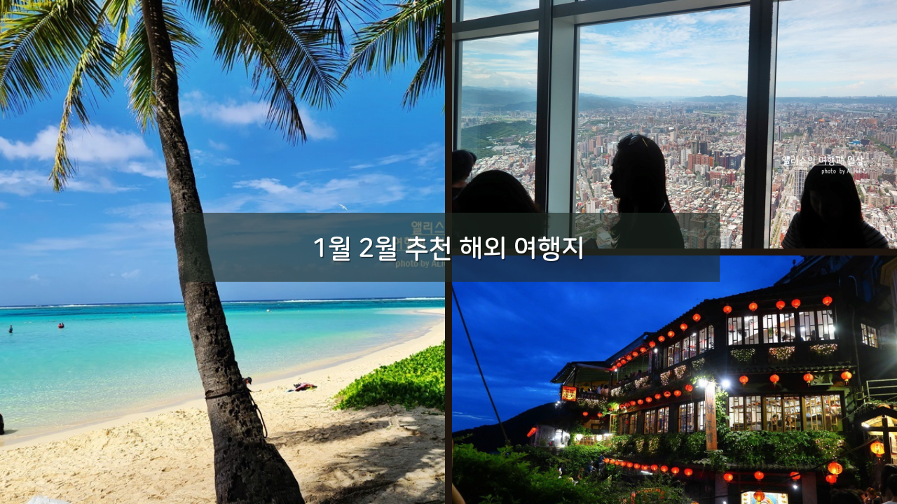 1월 2월 해외 여행지 추천 가까운 따뜻한 나라 항공권 가격 일일투어