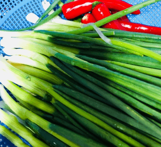 열무 물김치 담그는법 (맛있게 담는법) 알아보기