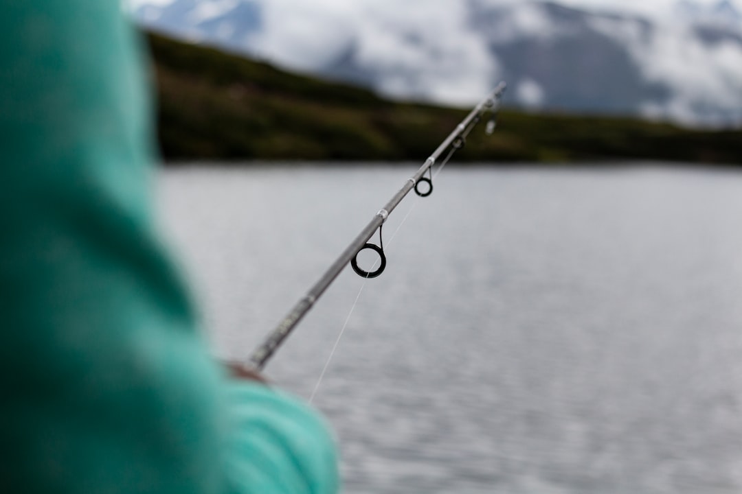 Fishing rod