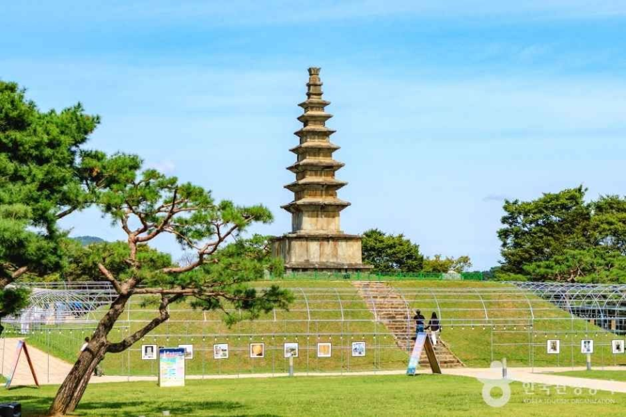 충주 가볼만한 곳