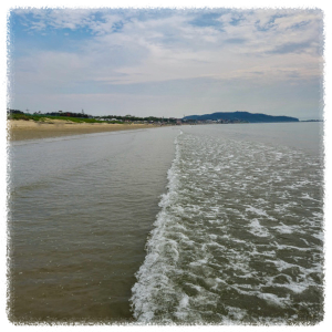 신두리해수욕장