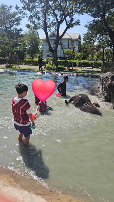 방콕 엘리펀트 파크