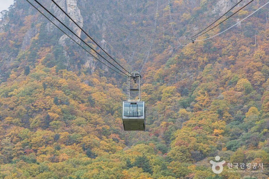 설악산 케이블카 운행시간, 예약, 요금 총정리