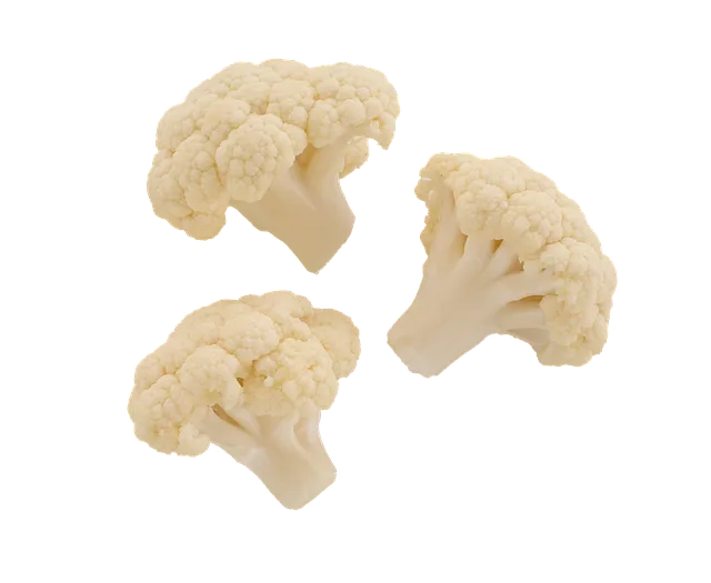 컬리플라워 재배 정식 후 관수 방풍 대책 영양 관리_2