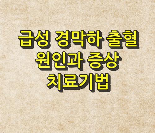 급성 경막하 출혈 원인과 증상