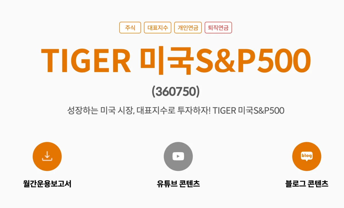 TIGER 미국