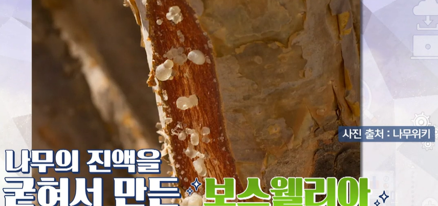 보스웰리아