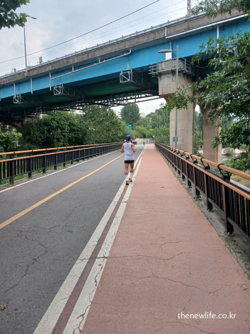 다리 아래 산책로에서 날씬한 체형의 사람이 슬로우 조깅을 하는 모습