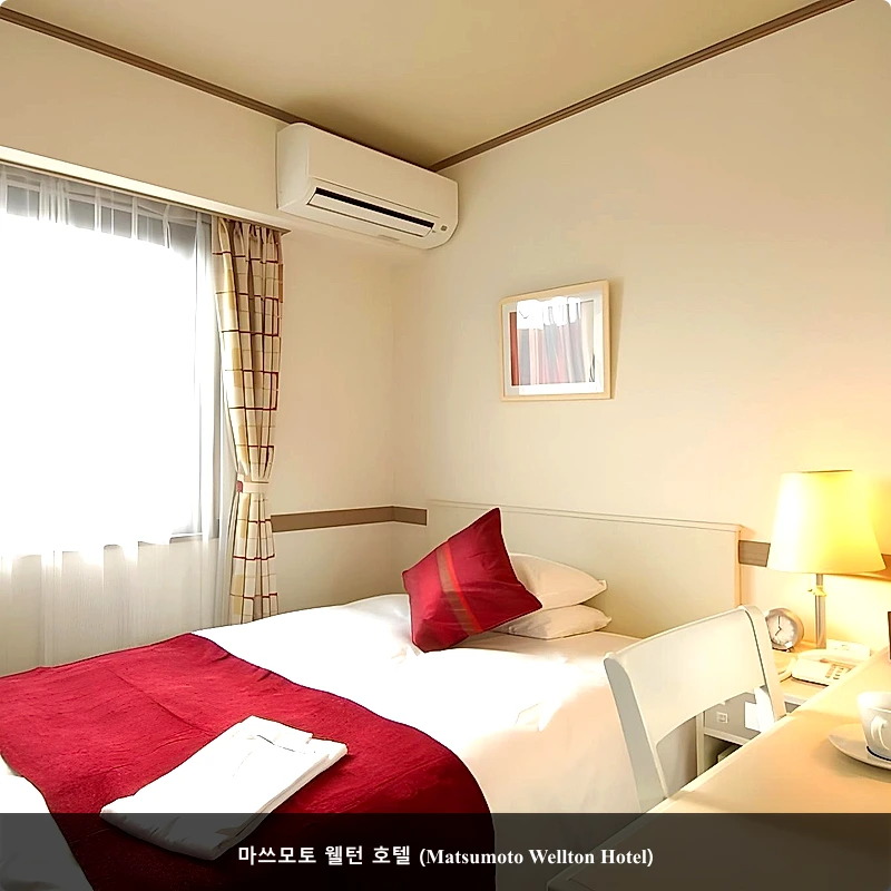 마쓰모토 웰턴 호텔 (Matsumoto Wellton Hotel)_4