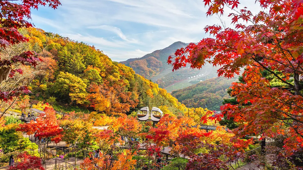 가을의 화담숲