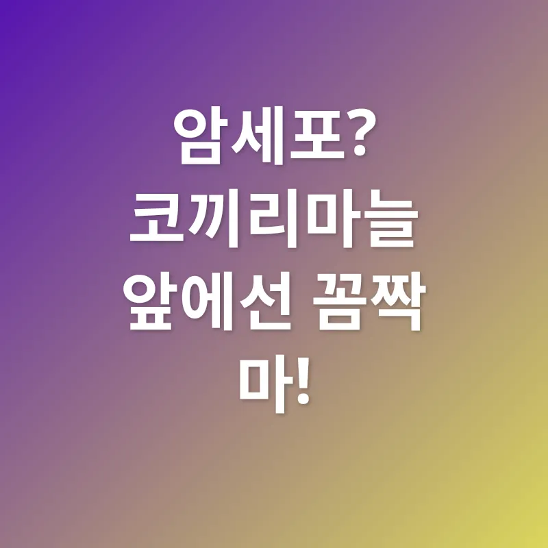 생강의 효능_4