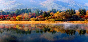 내장산-단풍축제-내장호