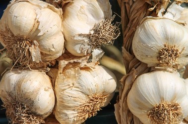 신장에 좋은 음식