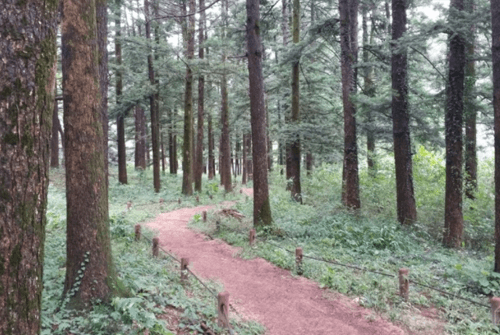 변산반도우금암19