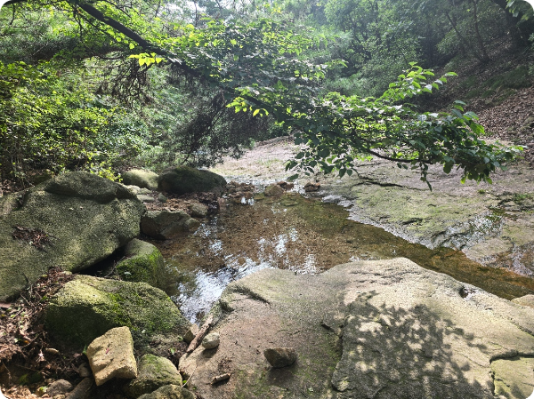 삼막사 계곡 사진