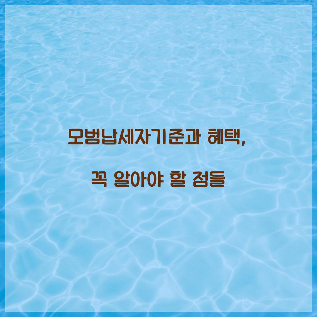 모범납세자기준