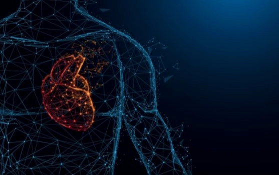 타우린 효능 10가지