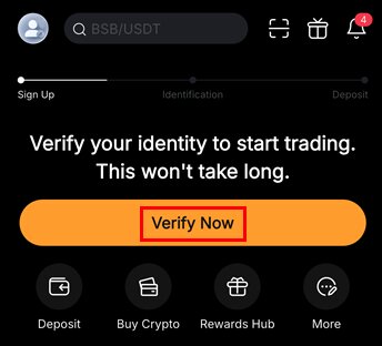 Verify Now 아이콘 클릭