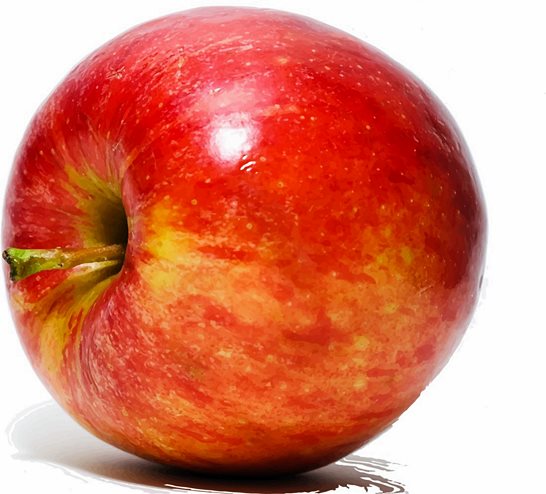 고지혈증에 좋은 음식