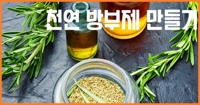 천연 방부제 만들기