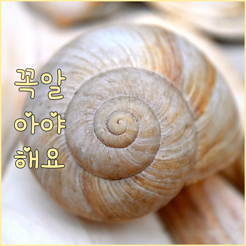 번동 주민 필독: 쓰레기 분리 배출 ..