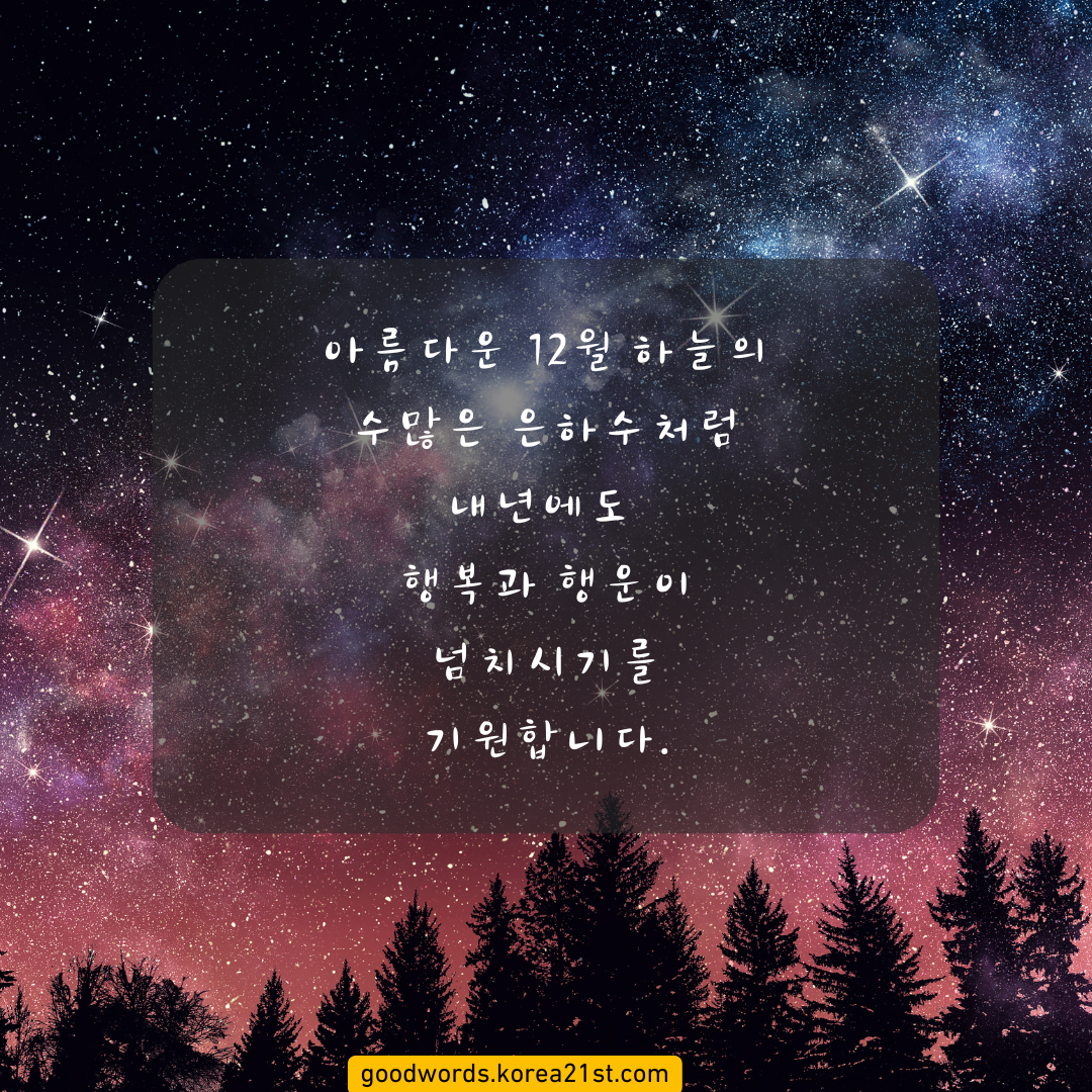 12월 인사말 이미지 문구 모음집 안부 문자 메세지