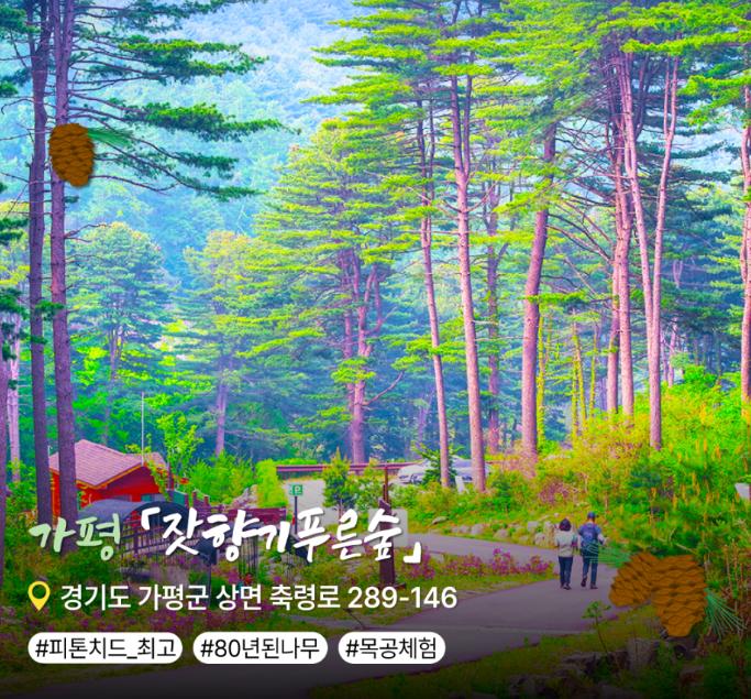 여름 더운 날씨에 가기 좋은 경기도 숲 [ BEST 3 ]