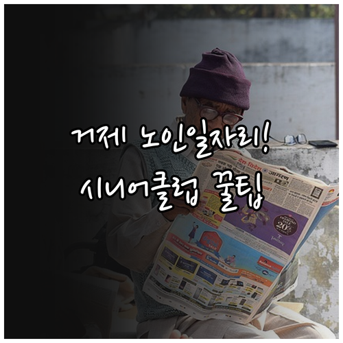 거제시 노인 일자리 찾는 법과 시니어..
