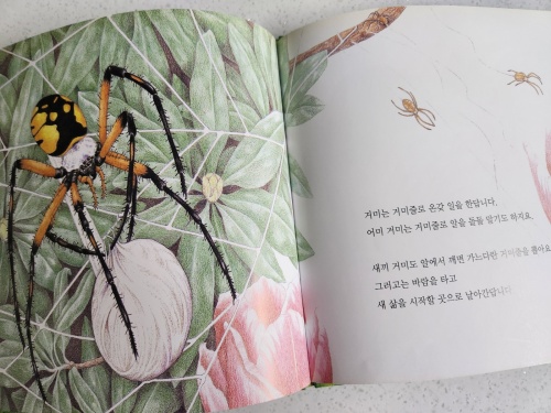 멋진 거미