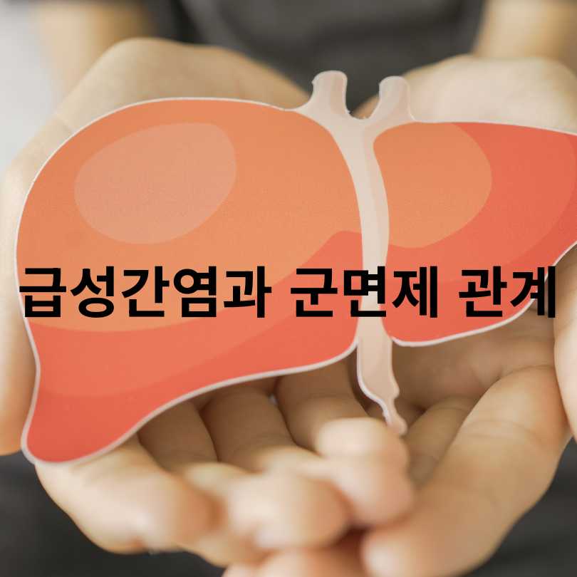 급성간염 증상·원인·치료 총정리 (군 면제 정보 포함)