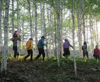 걷기좋은 명품 숲길 30선 숨겨진 코스_10