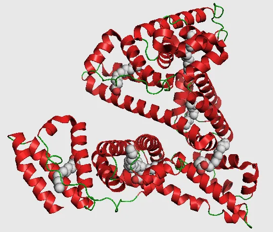 알부민 효능 부작용 효과 가격 당뇨 먹는법 수치 부족하면 생기는 증상 총정리1